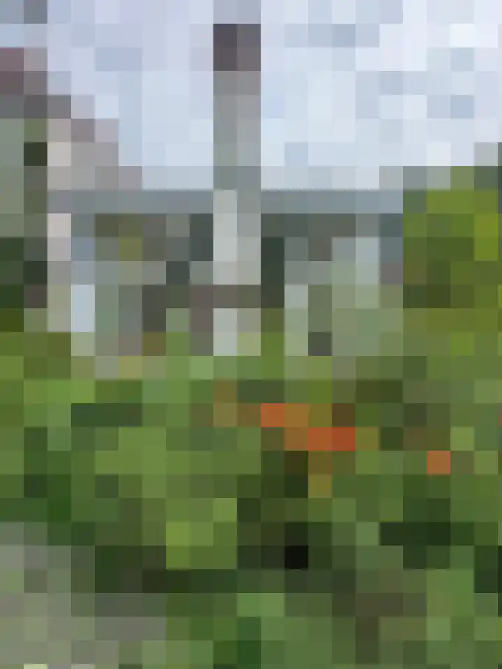 Schulpweg 14 Aerdenhout thumbnail 64
