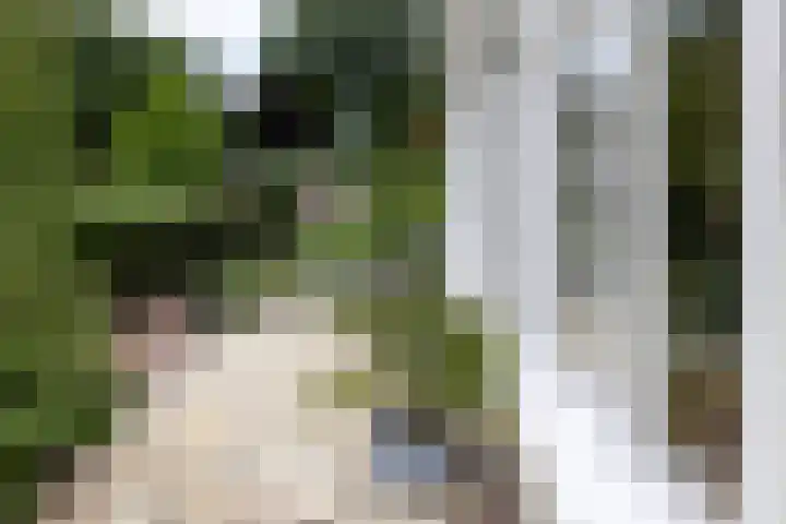 Schulpweg 14 Aerdenhout thumbnail 65