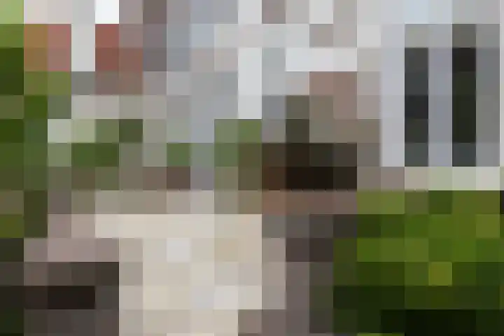 Schulpweg 14 Aerdenhout thumbnail 67