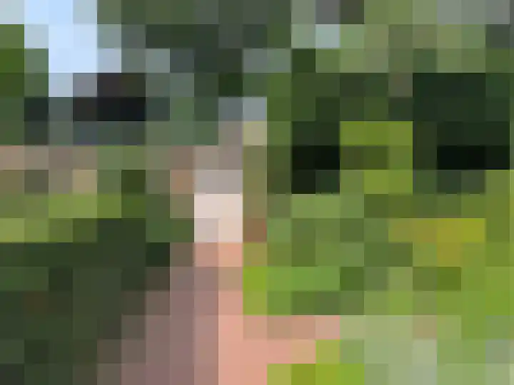 Schulpweg 14 Aerdenhout thumbnail 68