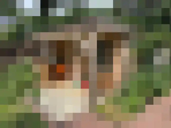 Schulpweg 14 Aerdenhout thumbnail 69