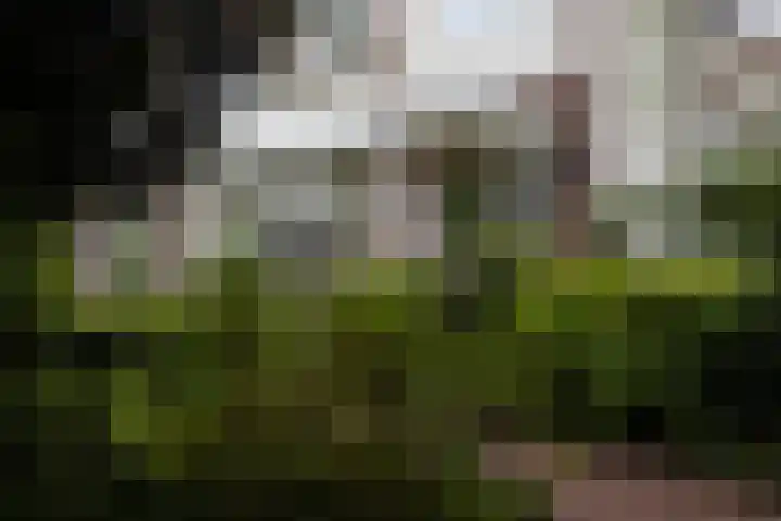 Schulpweg 14 Aerdenhout thumbnail 7