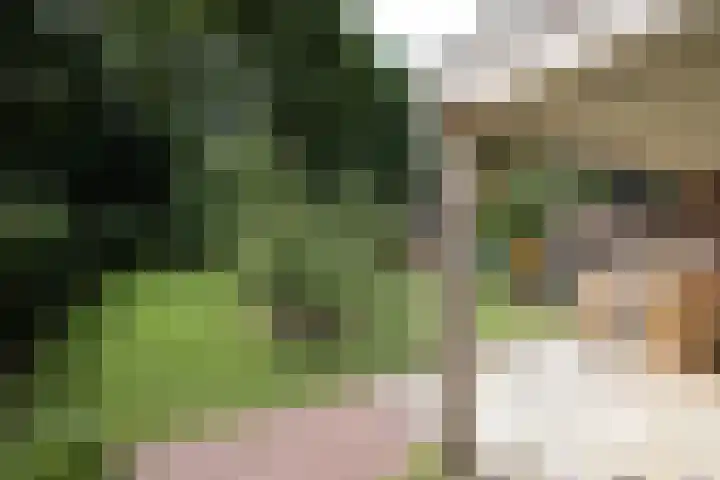 Schulpweg 14 Aerdenhout thumbnail 70
