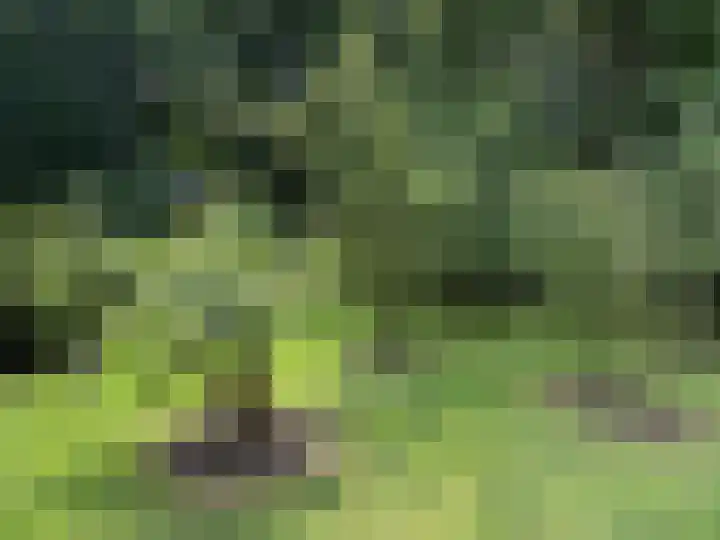 Schulpweg 14 Aerdenhout thumbnail 71