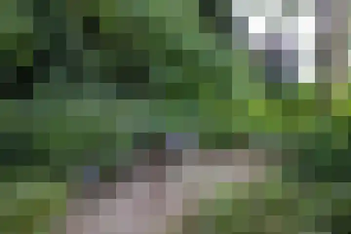 Schulpweg 14 Aerdenhout thumbnail 72