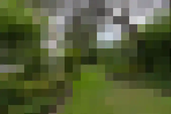 Schulpweg 14 Aerdenhout thumbnail 73