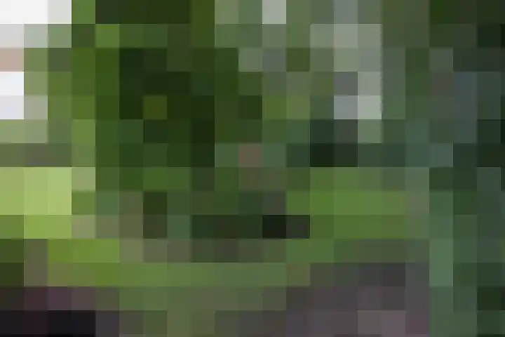Schulpweg 14 Aerdenhout thumbnail 74