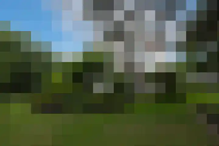 Schulpweg 14 Aerdenhout thumbnail 76