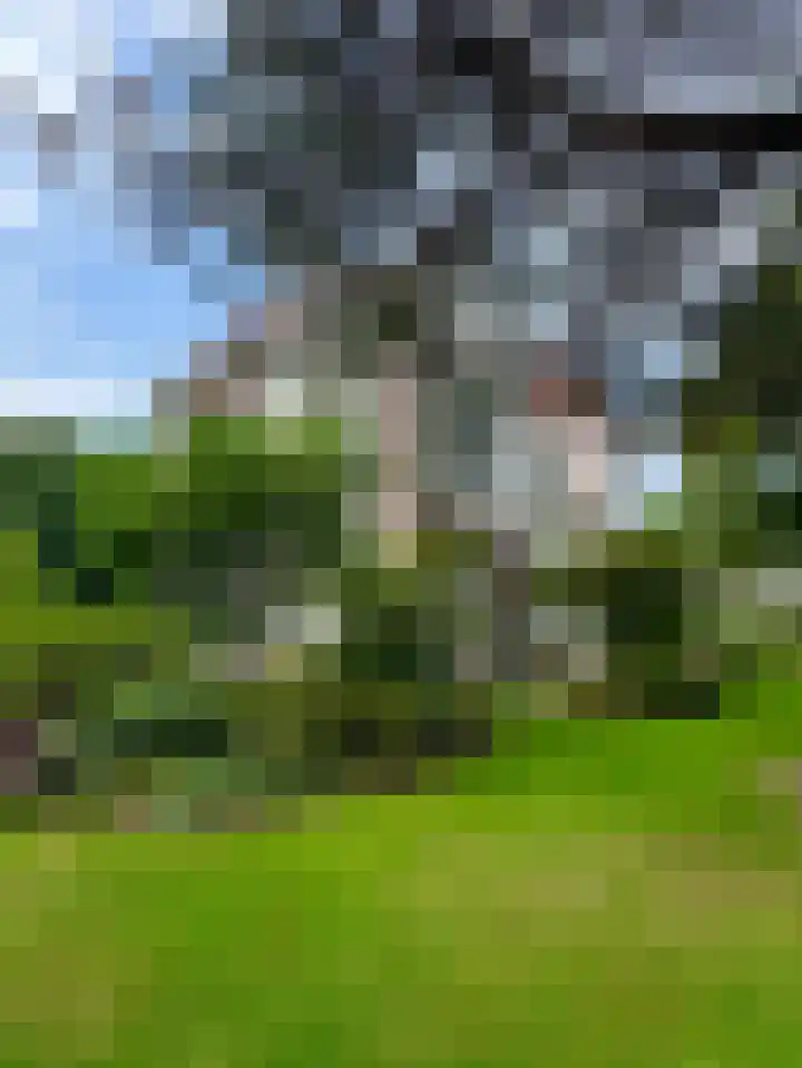 Schulpweg 14 Aerdenhout thumbnail 77