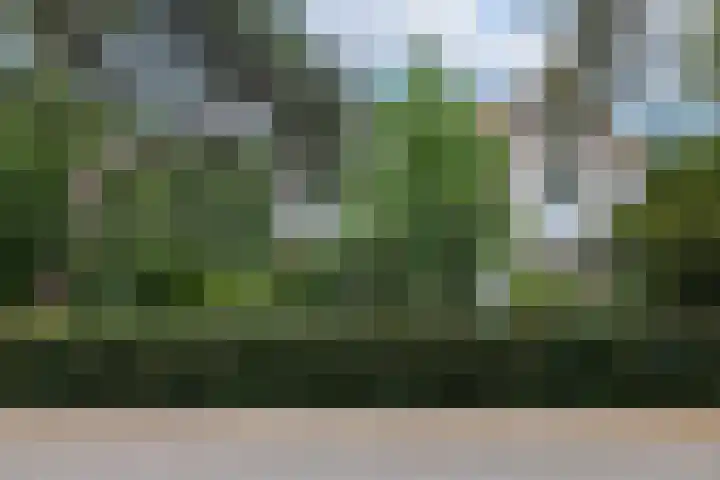 Schulpweg 14 Aerdenhout thumbnail 78