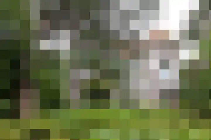 Schulpweg 14 Aerdenhout thumbnail 79