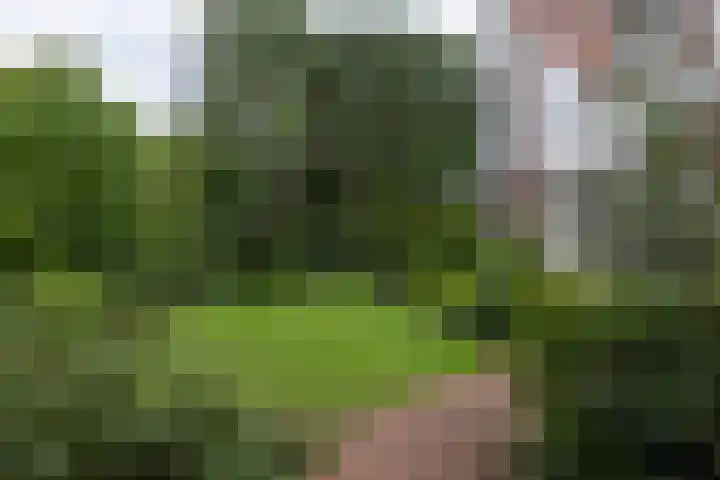 Schulpweg 14 Aerdenhout thumbnail 8