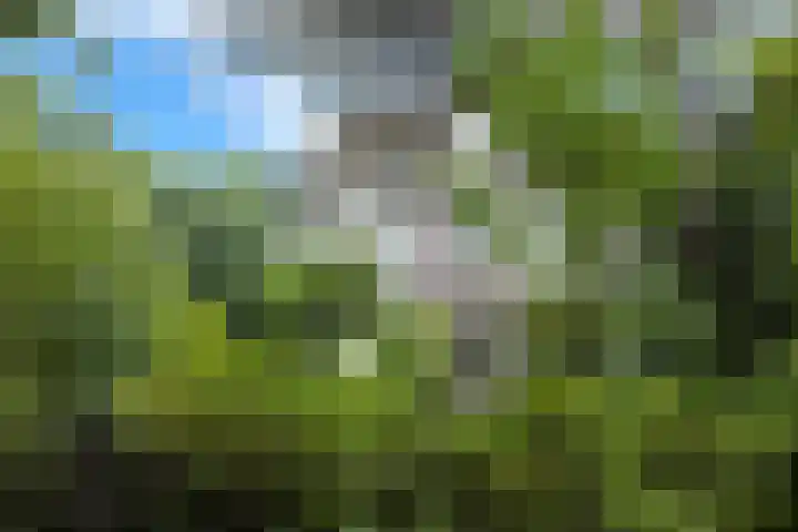 Schulpweg 14 Aerdenhout thumbnail 80