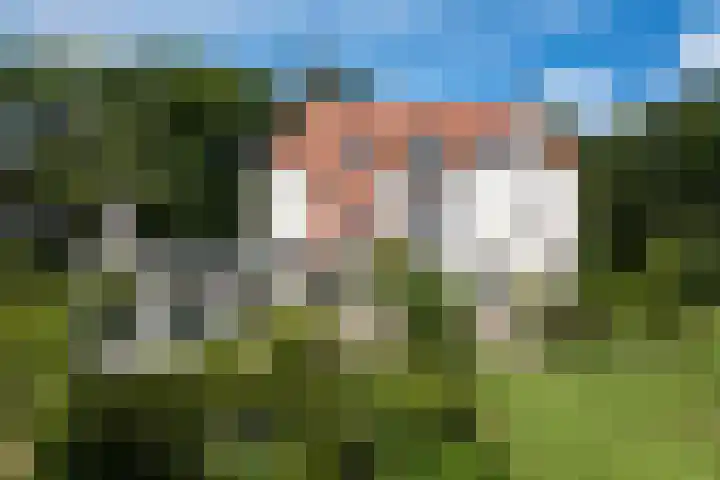 Schulpweg 14 Aerdenhout thumbnail 82