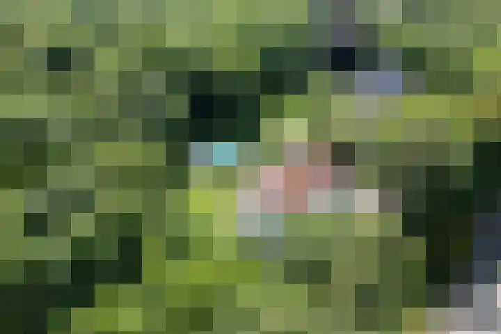 Schulpweg 14 Aerdenhout thumbnail 84