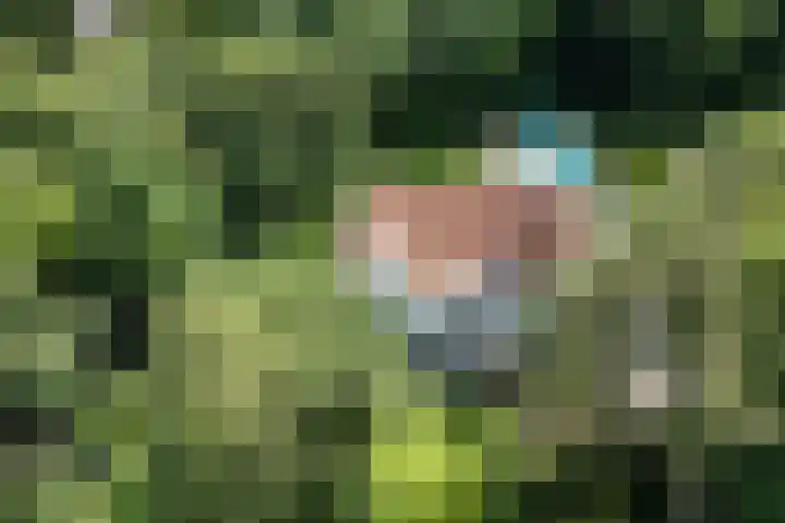 Schulpweg 14 Aerdenhout thumbnail 85