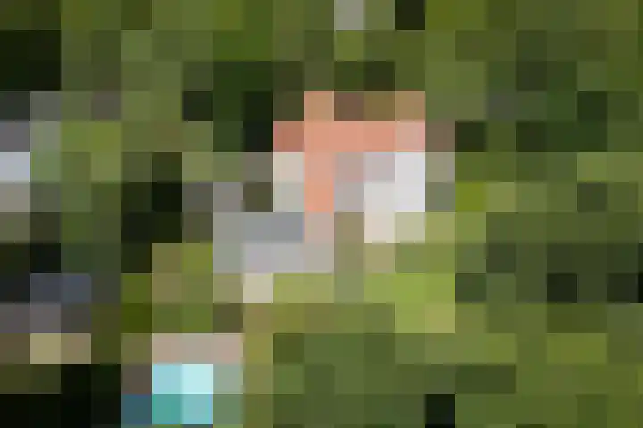 Schulpweg 14 Aerdenhout thumbnail 86
