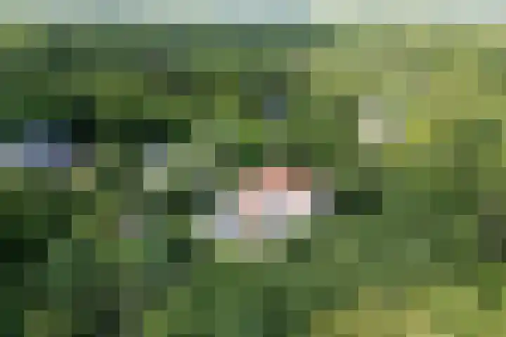 Schulpweg 14 Aerdenhout thumbnail 87