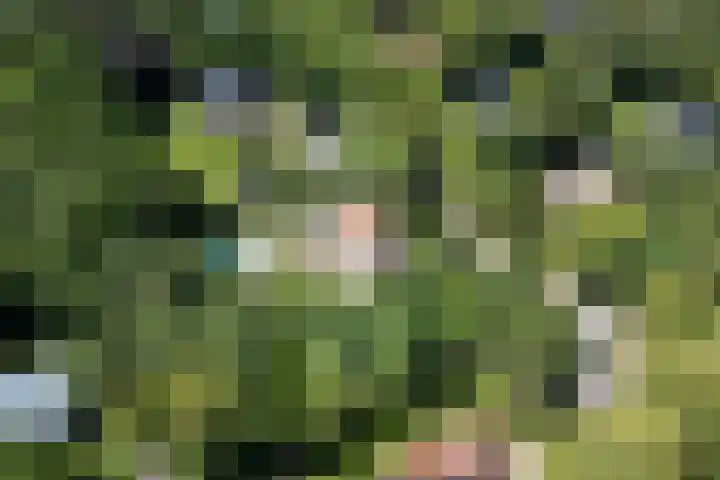 Schulpweg 14 Aerdenhout thumbnail 88