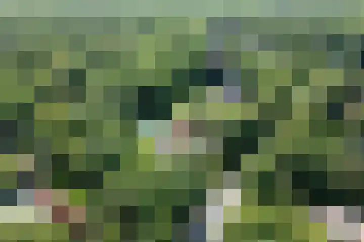 Schulpweg 14 Aerdenhout thumbnail 89