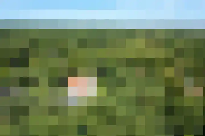 Schulpweg 14 Aerdenhout thumbnail 93