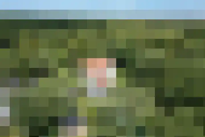 Schulpweg 14 Aerdenhout thumbnail 94