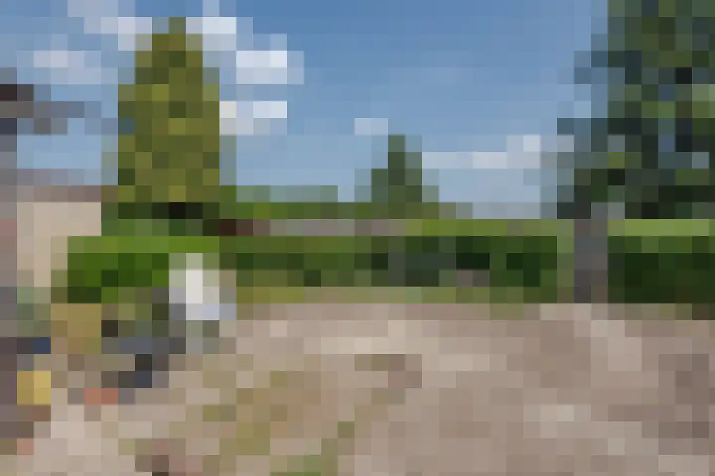 Schulpweg 226 Rotterdam thumbnail 16