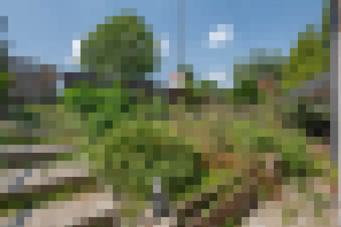 Schulpweg 226 Rotterdam thumbnail 7