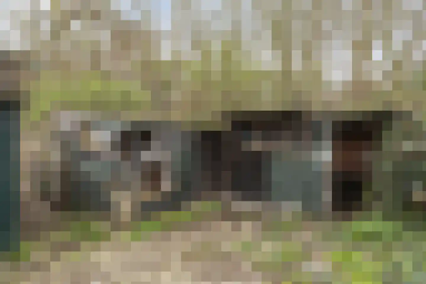 Schulpweg 251 Rotterdam thumbnail 26