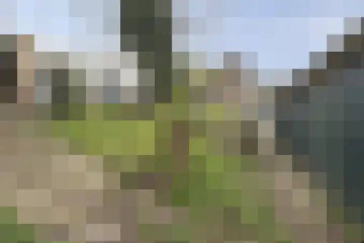 Schulpweg 251 Rotterdam thumbnail 27