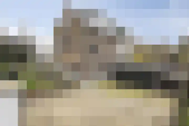 Schulpweg 251 Rotterdam thumbnail 29