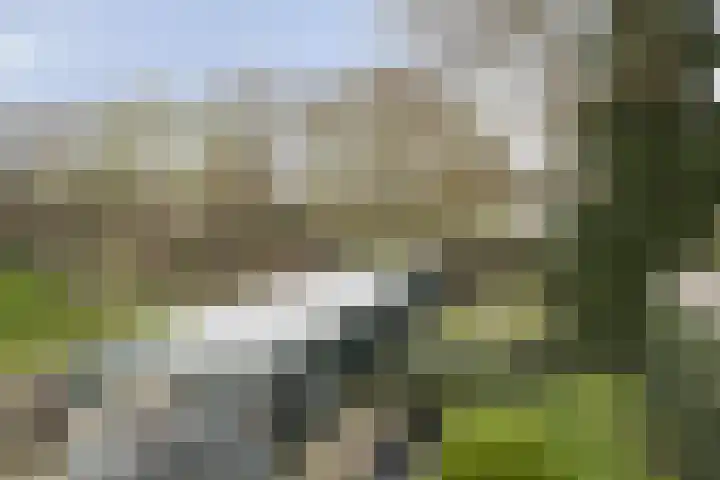 Schulpweg 251 Rotterdam thumbnail 30