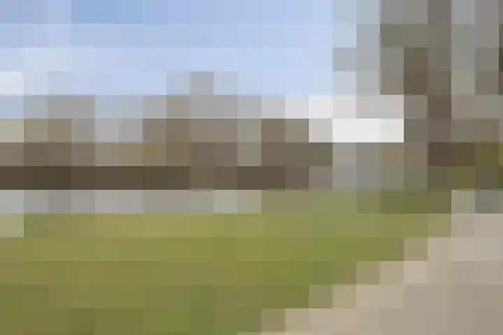 Schulpweg 251 Rotterdam thumbnail 36