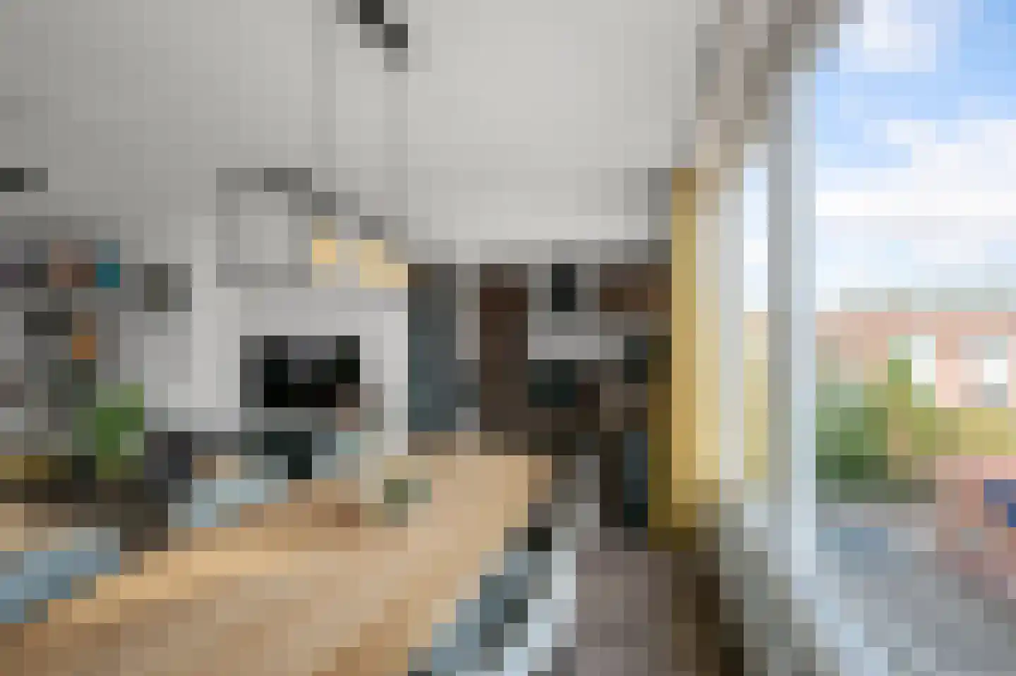 Schulpweg 33 D Velsen-Noord thumbnail 6