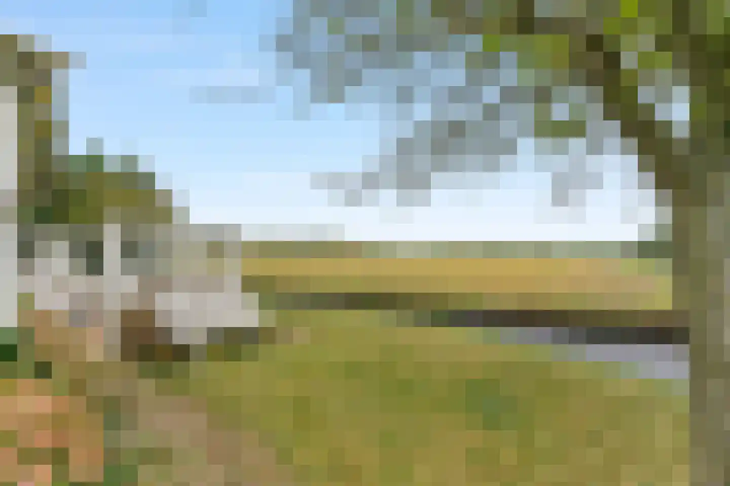 Schulpweg 58 Noordwijkerhout thumbnail 15