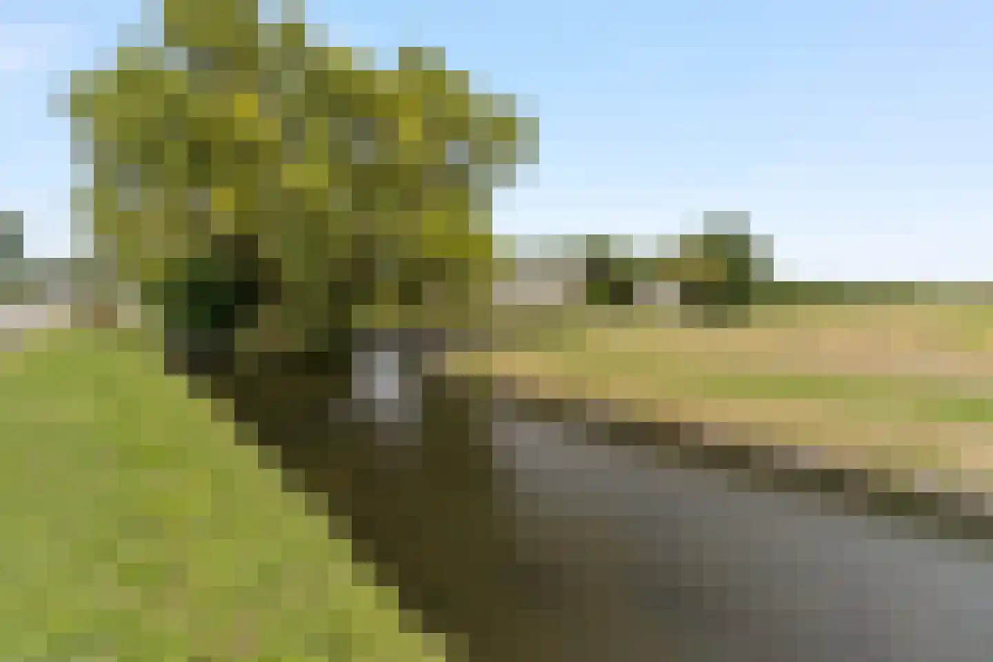 Schulpweg 58 Noordwijkerhout thumbnail 31