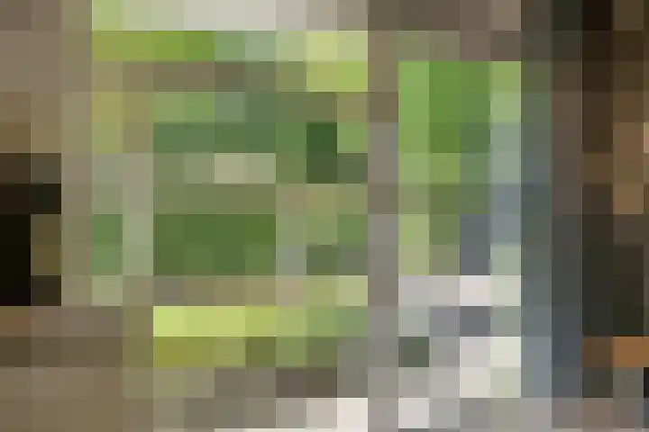 Schulpweg 6 Aerdenhout thumbnail 12