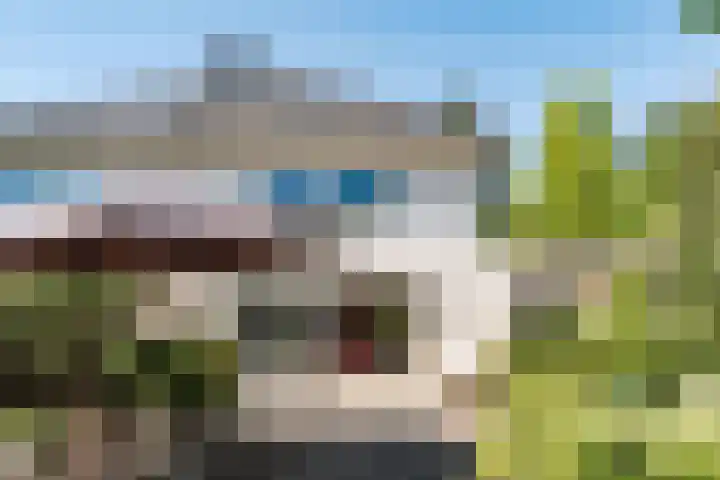 Schulpweg 6 Aerdenhout thumbnail 27