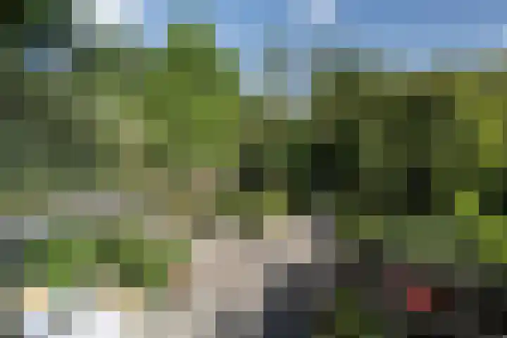 Schulpweg 6 Aerdenhout thumbnail 43