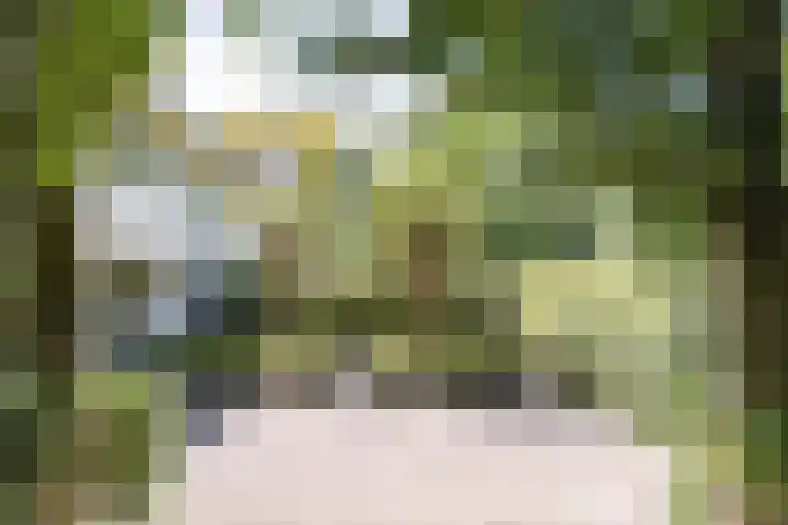 Schulpweg 6 Aerdenhout thumbnail 6