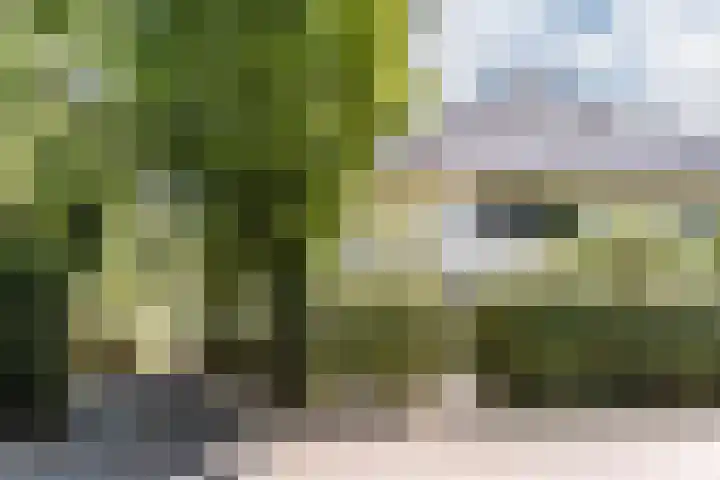 Schulpweg 6 Aerdenhout thumbnail 62