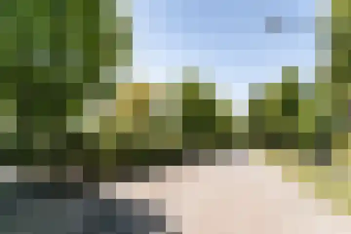 Schulpweg 6 Aerdenhout thumbnail 63