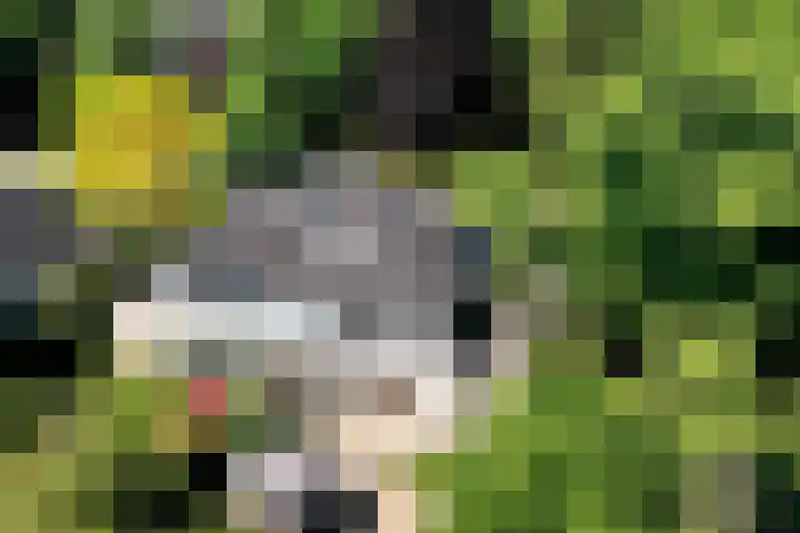 Schulpweg 6 Aerdenhout thumbnail 64
