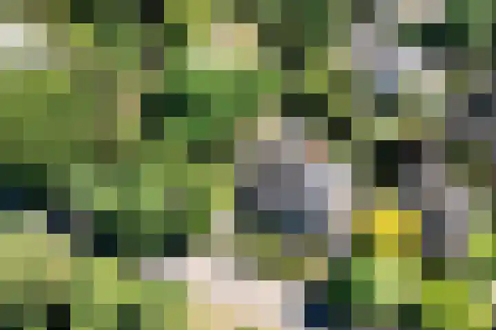 Schulpweg 6 Aerdenhout thumbnail 65