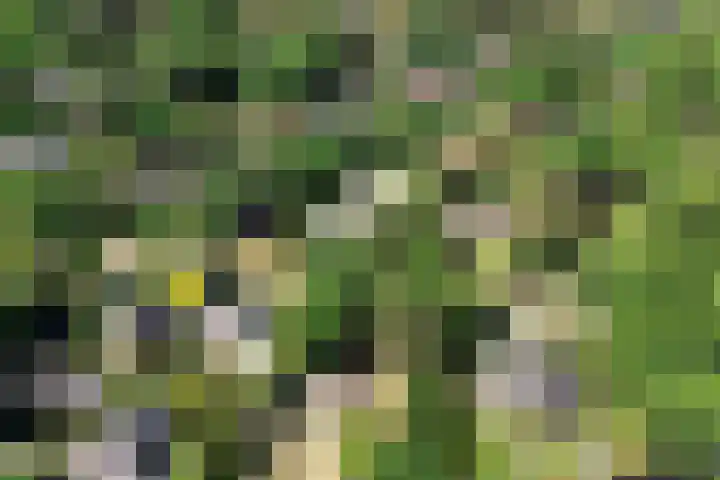 Schulpweg 6 Aerdenhout thumbnail 66