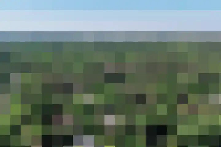 Schulpweg 6 Aerdenhout thumbnail 67