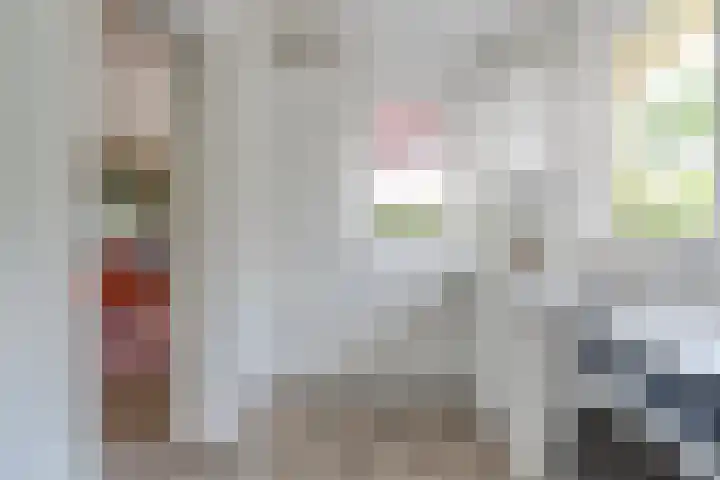 Schultambt 8 Meppel thumbnail 15