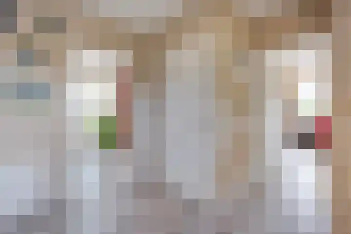 Schultambt 8 Meppel thumbnail 17