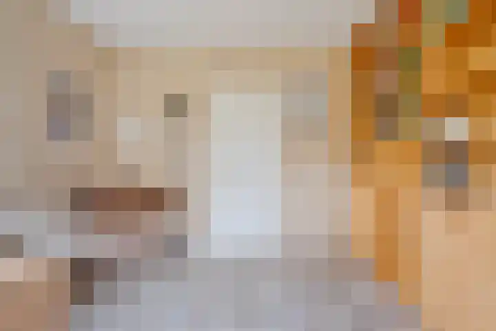 Schultambt 8 Meppel thumbnail 19