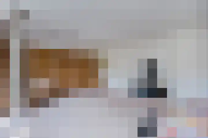 Schultambt 8 Meppel thumbnail 23